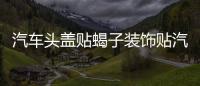 汽車頭蓋貼蝎子裝飾貼汽車貼紙機(jī)蓋貼拉花蝎子改裝刮痕車身貼紙