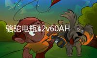 駱駝電瓶12v60AH適配伊蘭特吉利遠(yuǎn)景55D23東風(fēng)風(fēng)光580汽車蓄電池