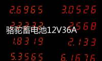 駱駝蓄電池12V36AH汽車(chē)電瓶適配鈴木奧拓鋒范背機(jī)旋耕機(jī)三輪車(chē)1DF